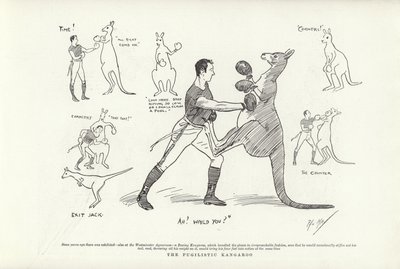 Den pugilistiska kängurun av Phil May