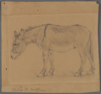 Åsna (grafit på papper) av Philip H. Wolfrom