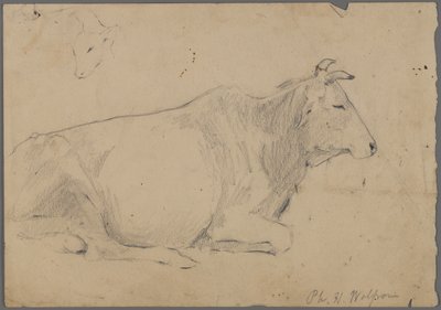 Sittande tjur (grafit på papper) av Philip H. Wolfrom