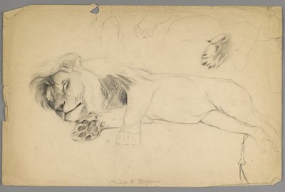 Sovande lejon (grafit på papper) av Philip H. Wolfrom