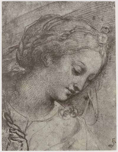 Carlo Dolci, Jungfruns överhuvud av Philip Henry Delamotte