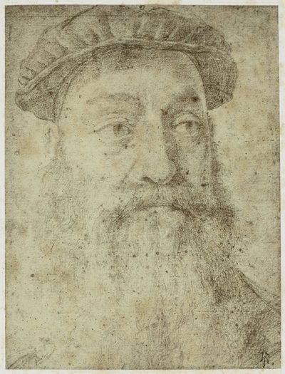 Foto från Bronzinos "Study for the Portrait of Stefano Colonna" av Philip Henry Delamotte