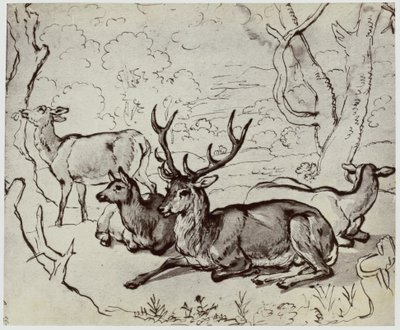 Ridinger, ett rådjur av Philip Henry Delamotte