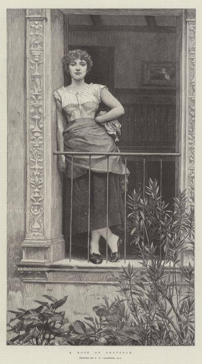 En ros från Provence av Philip Hermogenes Calderon
