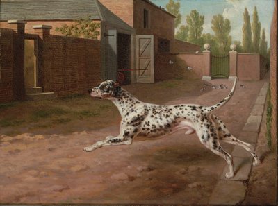 En Dalmation som springer i en stallgård av Philip Reinagle
