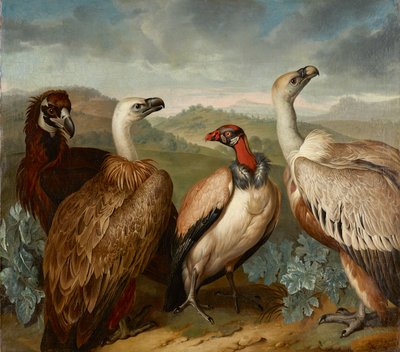 Fyra gamar av olika arter av Philipp Ferdinand de Hamilton