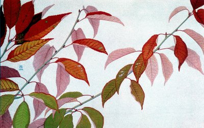 Autumn Leaves, av Philippe Robert, Robert Ried upplagor av Philippe Robert