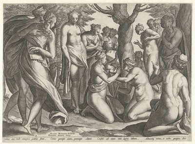 Adonis födelse The Story of Adonis (serietitel) av Philips Galle