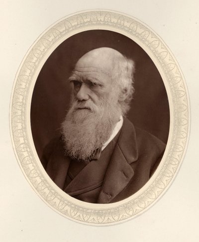 Porträtt av Charles Darwin 1809-1882, 1877. av Photo studio Lock and Whitfield