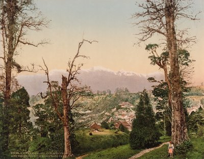 Darjeeling. Kinchinjunga och snön från Beechwood Park av Photoglob Co. (Zurich, active c. 1890 1910)