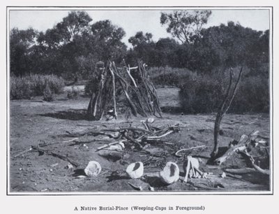 En infödd begravningsplats, gråtmössor i förgrunden (s/v foto) av Photographer Australian