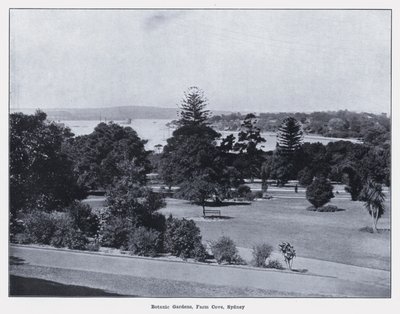 Botanic Gardens, Farm Cove, Sydney (s/v foto) av Photographer Australian