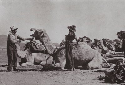 Kamellag med ansvariga aboriginer tillhandahåller utplacerade poster i centrala Australien (s/v foto) av Photographer Australian