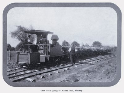 Cane Train går till Marian Mill, Mackay (s/v foto) av Photographer Australian