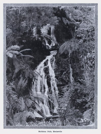 Mathinna Falls, Healesville (s/v foto) av Photographer Australian