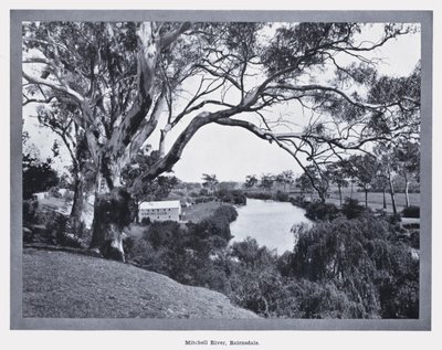 Mitchell River, Bairnsdale (svart/vitt foto) av Photographer Australian