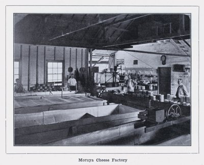 Moruya Cheese Factory (s/v foto) av Photographer Australian