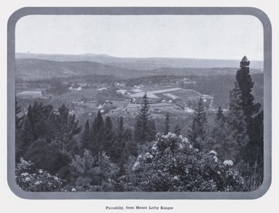 Piccadilly, från Mount Lofty Ranges (s/v foto) av Photographer Australian