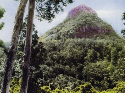 Queensland, Australien: Mt Cordeaux (bilden) av Photographer Australian