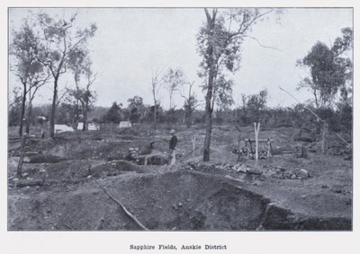 Sapphire Fields, Anakie District (s/v foto) av Photographer Australian