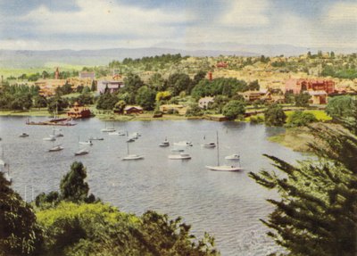 Tasmanien: Med utsikt över Launceston (färgfoto) av Photographer Australian