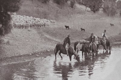Resten, typiska australiensiska stockmen (s/v foto) av Photographer Australian