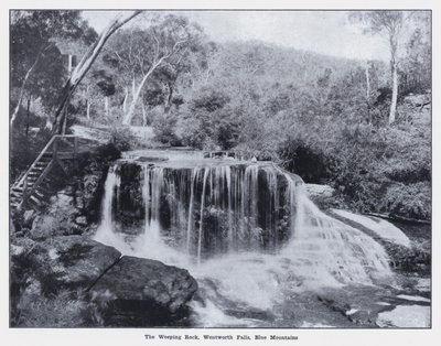 The Weeping Rock, Wentworth Falls, Blue Mountains (s/v foto) av Photographer Australian