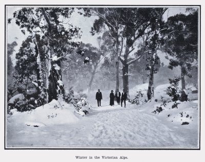 Vinter i de viktorianska alperna (s/v foto) av Photographer Australian
