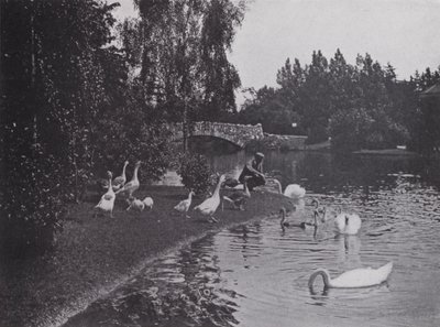 Lake, Beacon Hill Park, Victoria, British Columbia (s/v foto) av Photographer Canadian