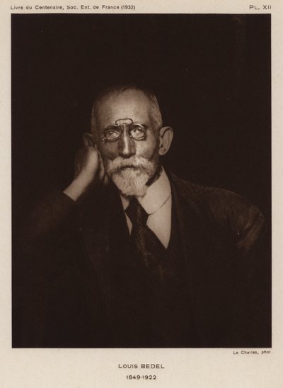 Ernest Marie Louis Bedel, fransk entomolog (s/v foto) av Photographer French