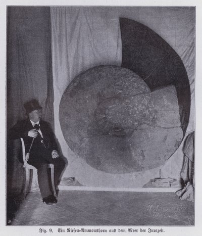 Fossil av en gigantisk ammonit, marin varelse från juraperioden (s/v foto) av Photographer German