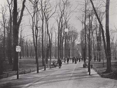 I Tiergarten, Ahornsteig (s/v foto) av Photographer German
