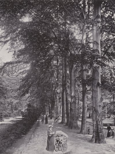 I Tiergarten, en skuggig stig (s/v foto) av Photographer German