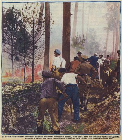 Bönder och soldater som bekämpar en skogsbrand i Schwarzwald, Tyskland av Photographer German