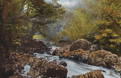 Irland: In The Dargle, County Wicklow (färgat foto) av Photographer Irish