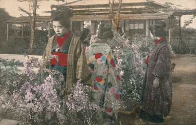 Japanska kvinnor med blåregnväxter (färgat foto) av Photographer Japanese