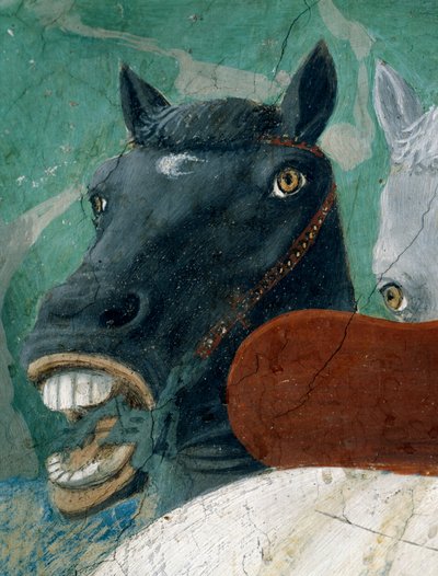 Legenden om det sanna korset, mottagandet av drottningen av Saba av kung Salomo, detalj av en häst, färdig fresk från 1464 av Piero della Francesca