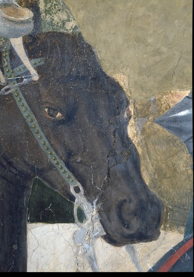 Legenden om det sanna korset, Konstantins seger i slaget vid Milvian Bridge, detalj av hästens huvud, färdig 1464 fresk se även 116343 av Piero della Francesca