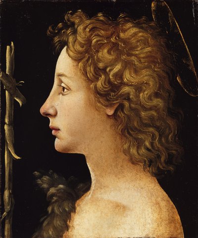 Den unge Johannes Döparen (tempera och olja på trä) av Piero di Cosimo