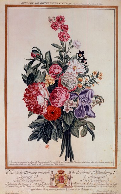 Bukett blommor melange Litografi av Pierre Joseph av Pierre-Joseph Buchoz