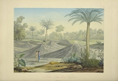 Air Volcanoes of Turbaco, graverad av Bouquet, illustration från "Views of the Cordilleras and Monuments of the Native Peoples of America" ​​av Alexander von Humboldt och Aime Bonpland av Pierre Antoine (after) Marchais