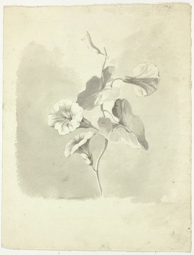 Morgonblommor av Pierre Antoine Mongin