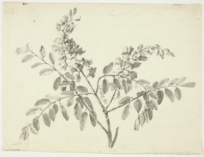 Den blommande grenen av Pierre Antoine Mongin