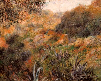 Algeriskt landskap, den vilda kvinnans ravin av Pierre Auguste Renoir