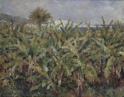 Field of Banana Trees Champ de bananiers, 1881 av Pierre-Auguste Renoir