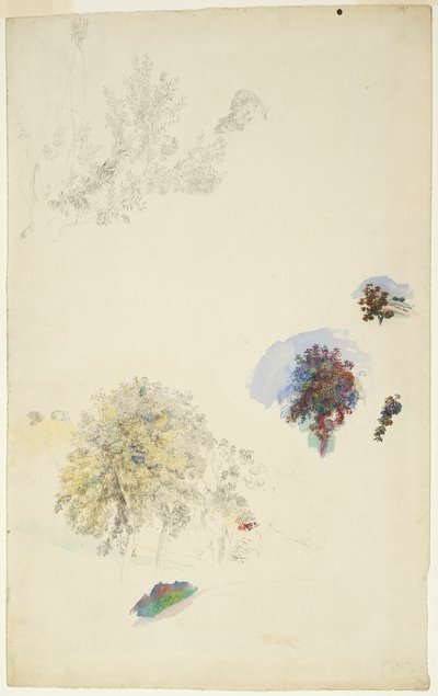 Studier av träd och lövverk av Pierre Auguste Renoir
