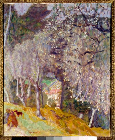 Hus i Oliverna av Pierre Bonnard