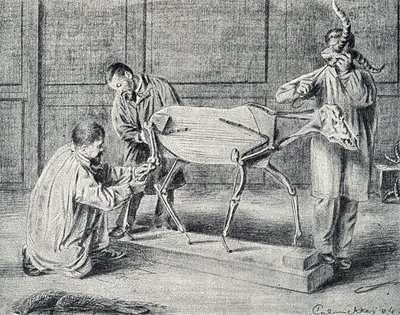 Taxidermi: taxidermister förbereder det konstgjorda skelettet i verkstaden Gravyr från "Excursion a travers les metiers" av Pierre Calmette Collection privee av Pierre Calmettes