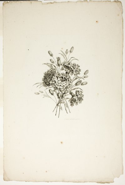 Bukett med nejlikor, från samling av olika buketter av blommor, uppfunnen och ritad av Jean Pillement och graverad av P. C. Canot av Pierre Charles Canot