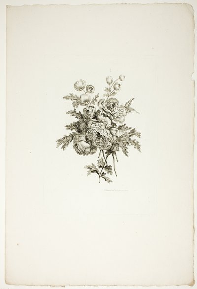Bukett med pioner, från en samling av olika blombuketter, uppfunnen och ritad av Jean Pillement och graverad av P. C. Canot av Pierre Charles Canot